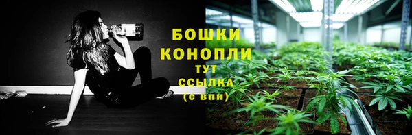 шишки Баксан