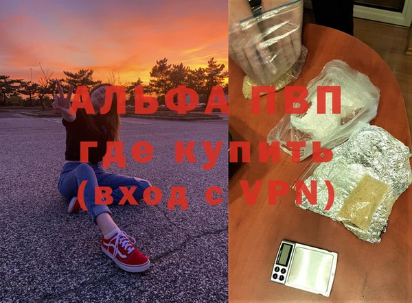 шишки Баксан