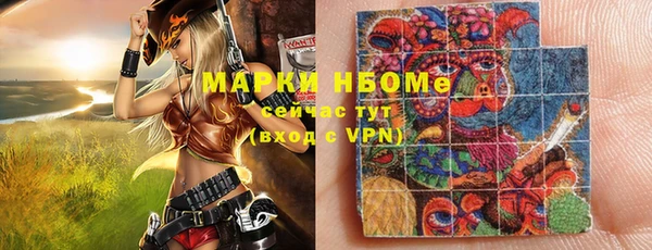 шишки Баксан