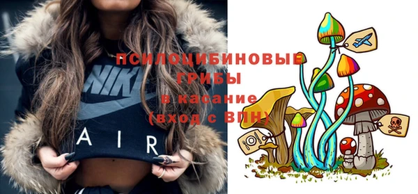 шишки Баксан