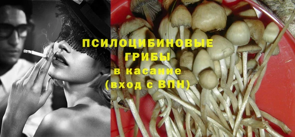 эйфоретик Арсеньев