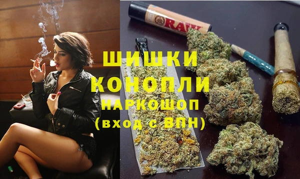 шишки Баксан