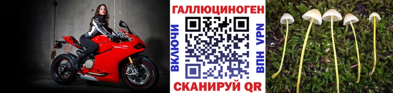 Псилоцибиновые грибы мухоморы  наркотики  Озёрск 